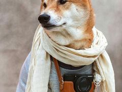 -星巴克(南京狮子桥店)