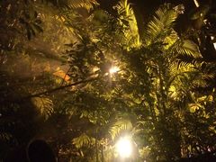 -三亚珠江南田温泉度假区