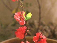 -弄堂里·寻味杭州(湖滨银泰in77C区店)