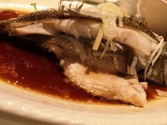 清蒸鲈鱼-文杏酒楼(一品天下店)