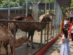 -荆州中山公园动物园