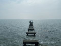 -贡湖湾湿地公园