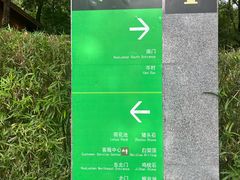 -火炉山森林公园