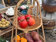 -HERRE·FARM 赫尔露营农场·团建聚会包场