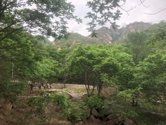 -大岭沟猕猴桃谷风景区