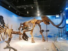 -辽宁古生物博物馆