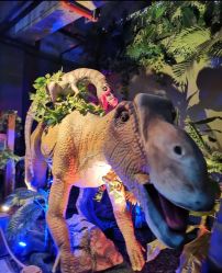 点击看大图 -恐龙探索乐园(磁器口店)