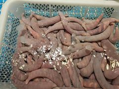 -喜来酌海鲜·饺子(和平一店)