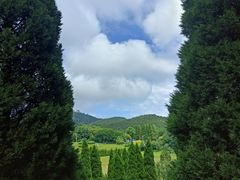 -棒棰岛宾馆景区
