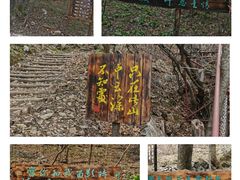-龙道沟景区