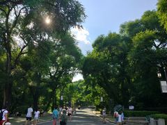 -北山公园