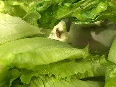 -川渝又一村火锅烤肉自助餐厅(祝塘店)