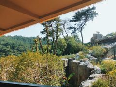 -宁波野生动物园
