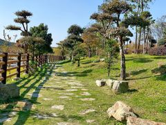 -黄陂区野村谷景区