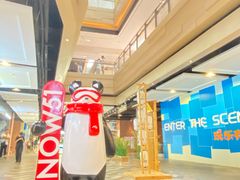 -阿金大白·上海菜馆(新天地店)