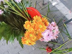 -MCJ-花店(西罗园店)