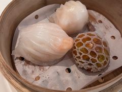 -伯衡55·吉品轩(乌鲁木齐南路店)