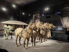 -秦始皇帝陵博物院-丽山园