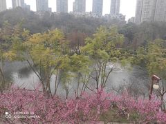-重庆彩云湖湿地公园