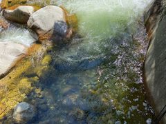 -青峰峡国家森林公园