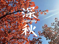 -坡峰岭