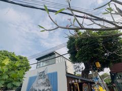 -三溪村
