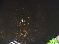 iphone_upload_pic-蛇蟠岛