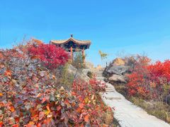 -北京凤凰岭