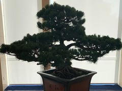 -钓鱼台国宾馆