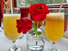 -橘洲1910花园江景西餐厅