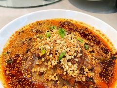 -陈麻婆豆腐(旗舰店)