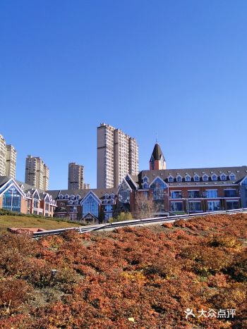 金河公园的秋是金色的。 这里是滑旱冰和放风筝的好地方