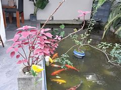 -漫笙舍Manse·咖啡·民宿