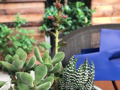 景观位-G+KITCHEN(龙湖狮山天街店)