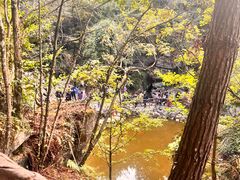 -梭布垭石林景区