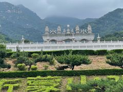 -沂蒙山旅游区云蒙景区(蒙山国家森林公园)