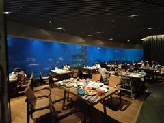 大堂-海棠湾洲际-涛·海底餐厅·美人鱼·自助餐·海底隧道