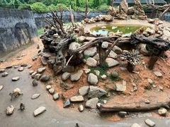 -云南野生动物园