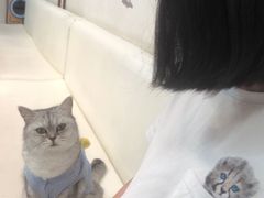-小时光咖啡馆(北锣鼓巷店)