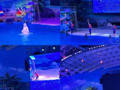 -海合安武汉极地海洋公园