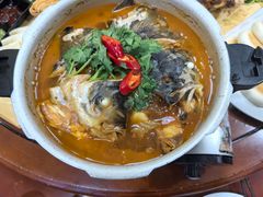 -杨正宗烤全羊(北二环店)