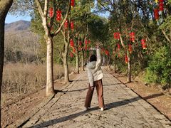 -天台山赤城山景区