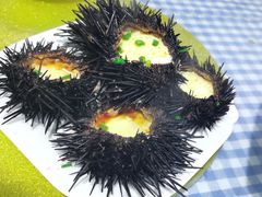 -魚當家