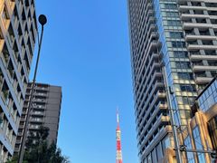 -六本木新城展望台(东京城市景观)