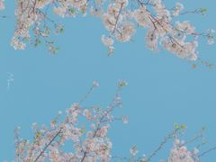 -静安公园(静安寺街道)