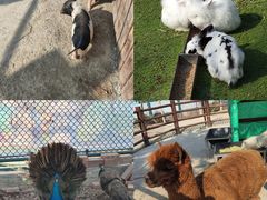 -海合安天津极地海洋公园