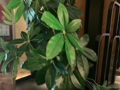 -新紫霞养生·影院足道·SPA(金山区店)