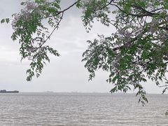 -上海滨江森林公园