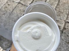 -洪馨椰子