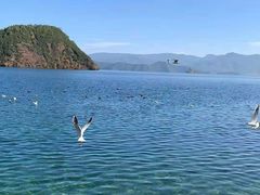 -丽江泸沽湖景区